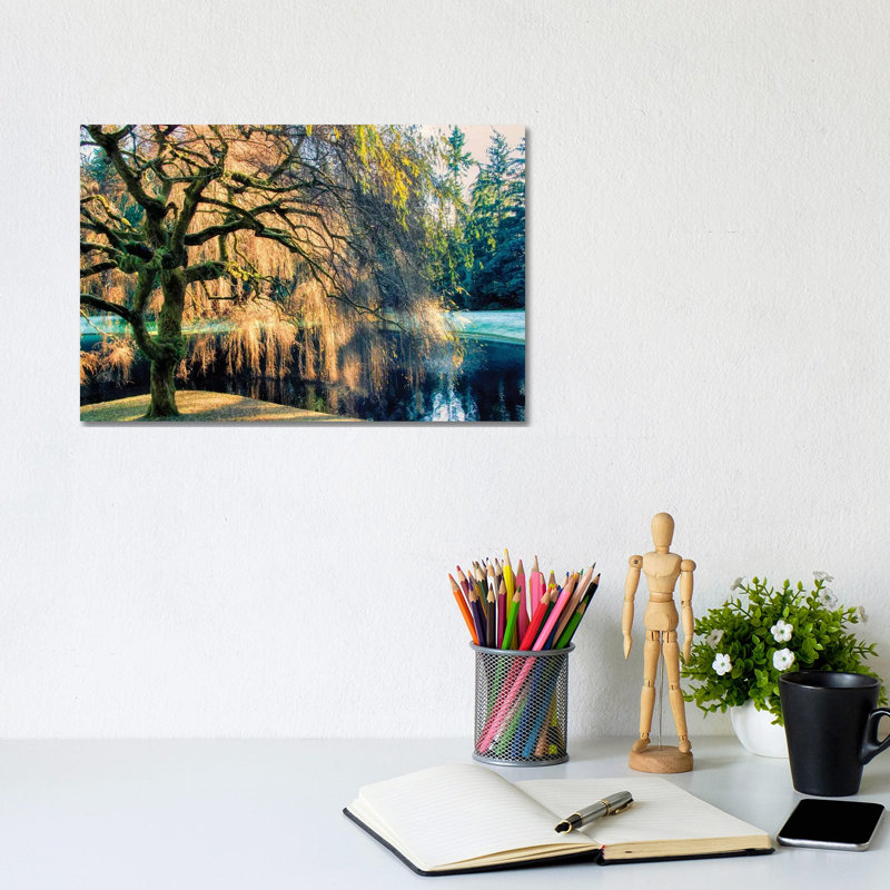 Willow - Print on Canvas, Wrapped Canvas, 20.32 cm H x 30.48 cm W