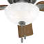Ventilateur de plafond standard à 5 pales de 52 po avec lumières et chaîne de traction Swanson-49136367