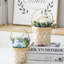 Adana Ceramic Pot Planter-733527316