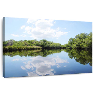 Reflet des arbres du lac Alvord