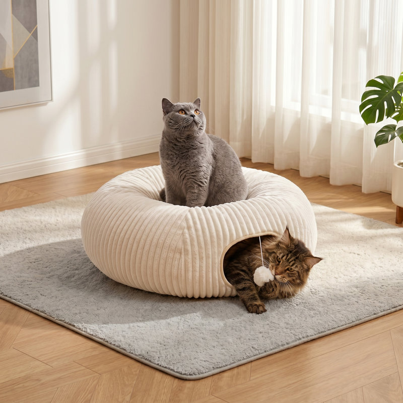 Lit pliant pour chat avec 40 jouets interactifs pour chat d'intérieur