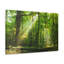 No Frame Print on Canvas-891454425