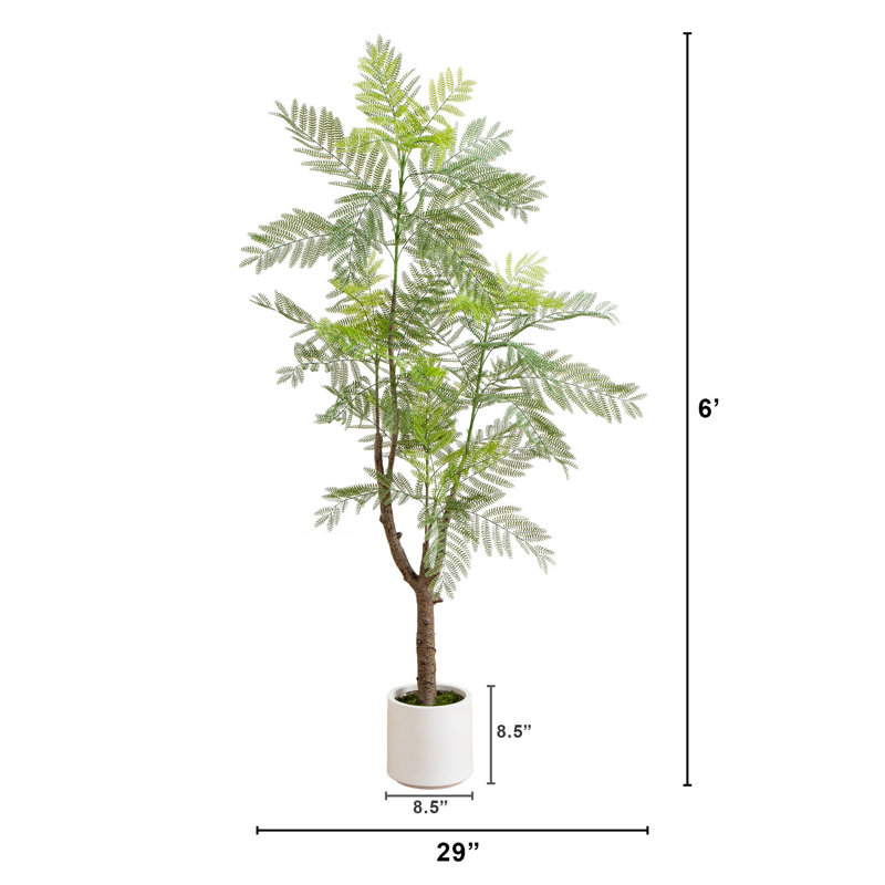 6ft Artificial Green Jacaranda Tree in White Plastic Planter