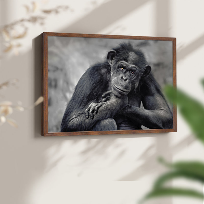 Captivated -Framed Print - Restickable, 22" H x 28" W, Walnut