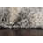 Loretta Abstract Indoor Rug-1961184359