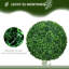 40cm Faux Boxwood Topiary in Pot