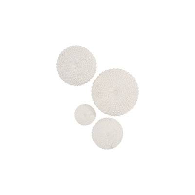 Sea Urchin Wall Art, Set Of 4