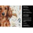 Longhaired Red Dachshund Coffee Bar Kitchen Towel-1168063469