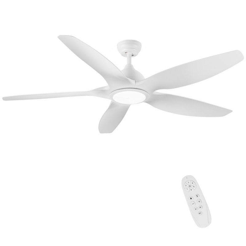 Kiry 60'' Ceiling Fan with LED Lights, White