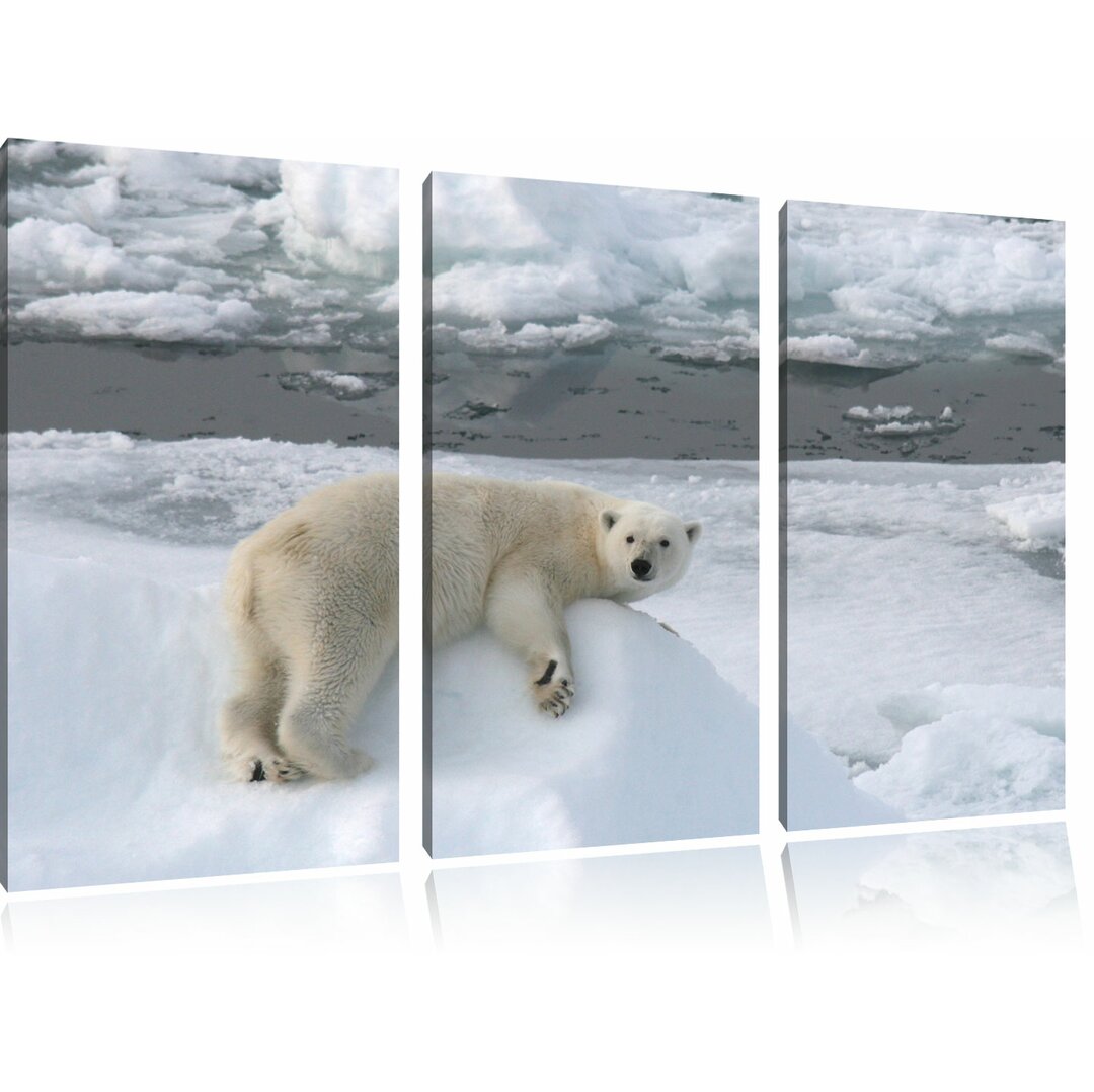 3-tlg. Leinwandbilder-Set „Schöner Eisbär auf kleinem Eisberg“, Fotodruck