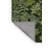 Machine Washable Nature Green Area Rug-287002208
