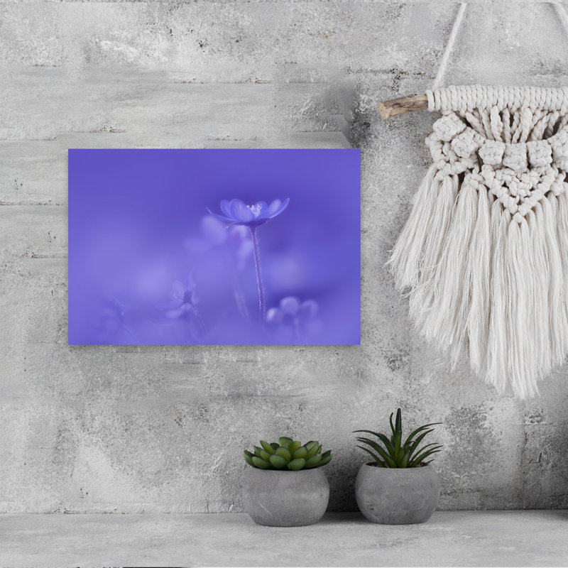 Delicate Purple Bloom Delicate Dreamy Ethereal Violet Flower Nature Wall Art Print 1 Piece Wrapped Canvas Wall Art