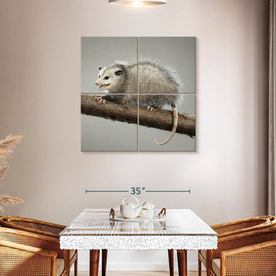 Bramoss Snarky Opossum