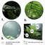 " Ferns Close Up Photo IV "-322509006-322508977
