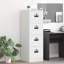 Storage Cabinet-279677383