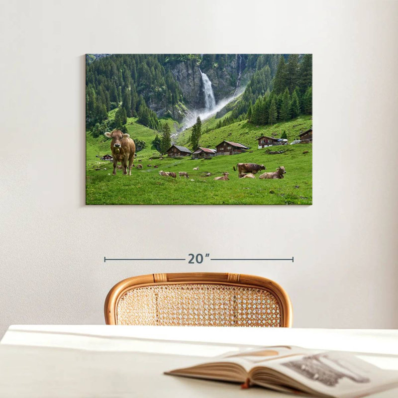 Alvord, Suisse, Highland Cows, H 16 po x l 24 po