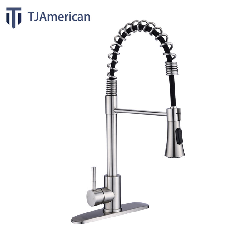 Robinet de cuisine à poignée simple TJAD0675, Brushed Nickel