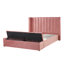 Eliza Upholstered Storage Bed-1809177532