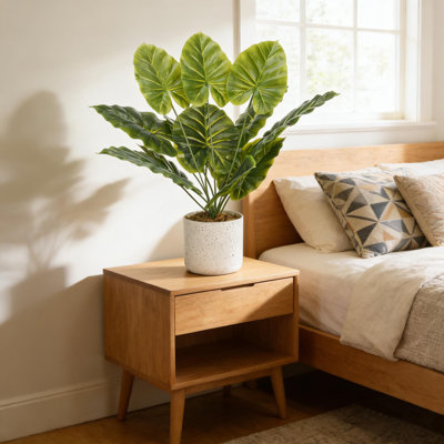 Small Realistic Potted Plant for Countertop Use