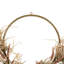 24 couronne