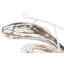 Décoration murale spirale en fer et bois de poisson Albasia