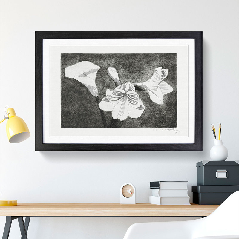 Amaryllis Flowers by Samuel De Mesquita - Picture Frame Graphic Art, 27cm H x 36cm W x 2cm D, Black Framed