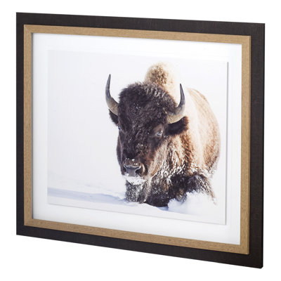Tenacity by Wink Gaines a Hand Embelished Textured Framed Art Photograph Matted under Glass
