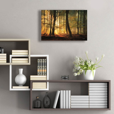 Art mural épique «Autumn Light» par Martin Podt, 24 po x 16 po