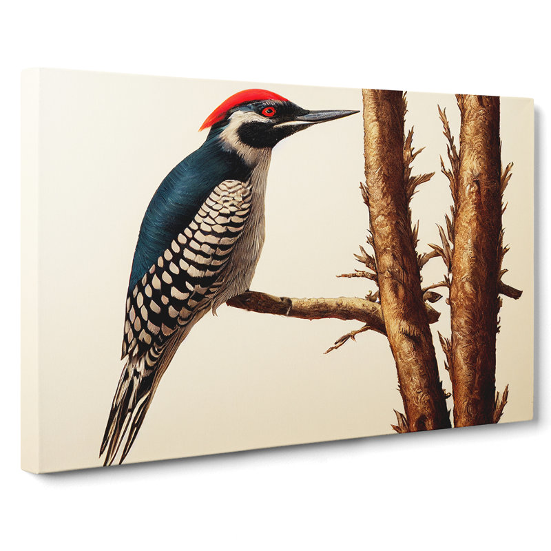 Vintage Woodpecker Bird Vol.2 - Wrapped Canvas Print, 35cm H x 50cm W x 3cm D