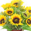 Arrangement d'automne Linneus avec tournesols et feuilles de thé dans un vase de citrouille