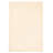 Winni Wool Indoor Rug-1912038277