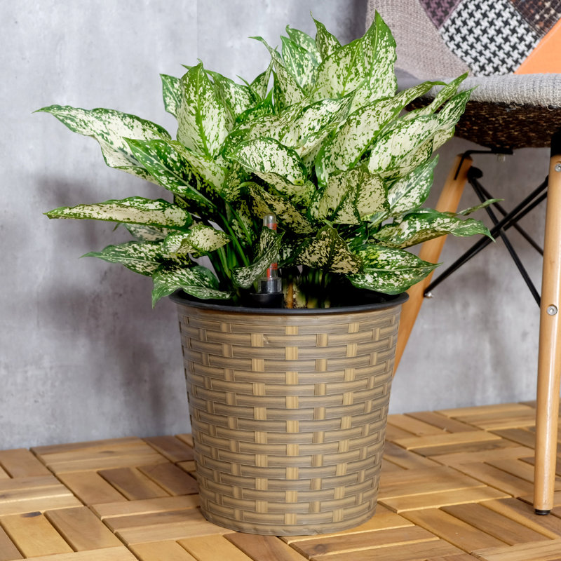 Jardinière naturelle de 10,2 po avec arrosage automatique - Ajoute de la beauté aux espaces intérieurs et extérieurs, Beige