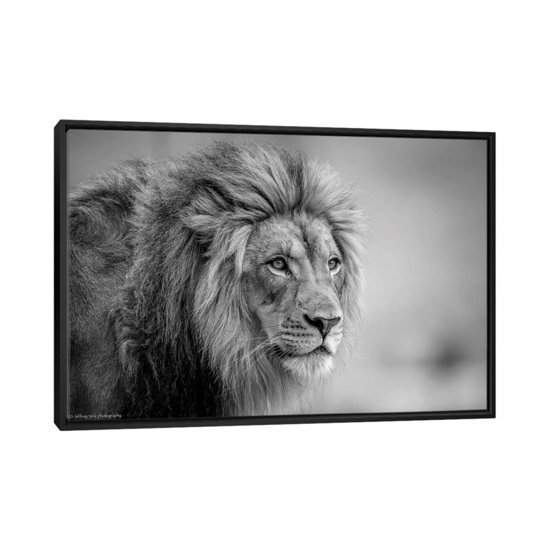 «His Majesty ....», reproduction de photo sur toile, H 18 po x l 26 po x P 1,5 po, Toile avec cadre noir, Pas de tapis