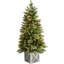 3.5' H Lighted Artificial Pine Christmas Tree