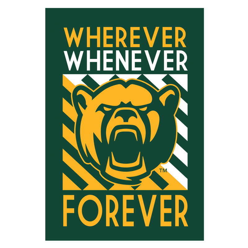 Drapeau de jardin en polyester de 18 po x 12,5 po Baylor University