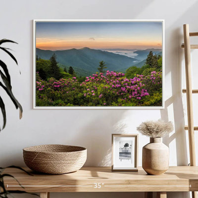 Blue Ridge Mountains View