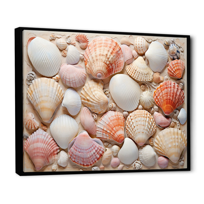 Seashell Contemporary Collage, reproduction d'art sur toile, Cadre flottant noir, H 24 po x l 32 po x P 1 po