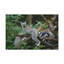 Wall Art on Canvas-1231423366