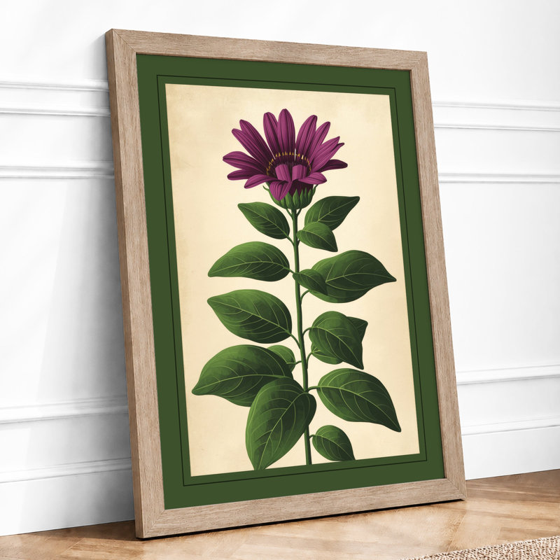 Purple Flower Study Botanical - Framed Print, A2 - 59.4 x 42.0 cm, Oak