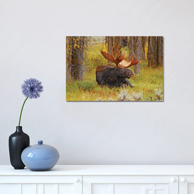 Lounging Bull by Brian Wolf - Wrapped Canvas Print