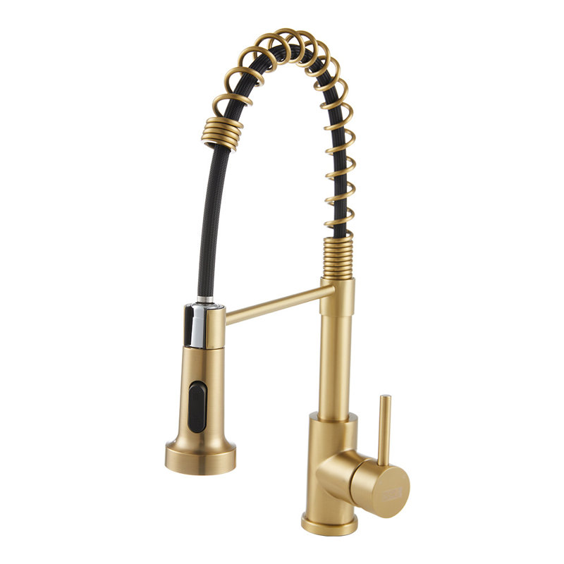 Fairmont Park Aajah Pull Down Kitchen Faucet