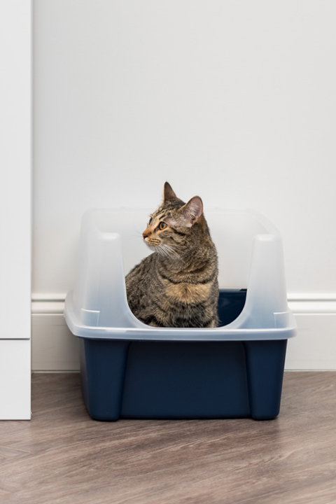 Purrfect Litter Boxes