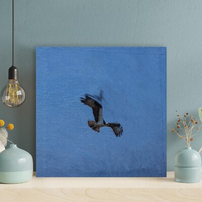 Latitude Run® Flying Bird And Dark Blue Sky - 1 Piece Rectangle ...