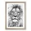Lion Portrait - Picture Frame Drawing Print-56925065-56925070