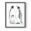 «Emperor Penguins II», reproduction encadrée - bois massif-1466295824-1466295825
