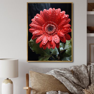 " Red Daisiy Flowers I "