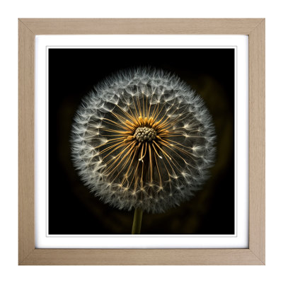 Dandelion Photograph No.1 - Framed Print