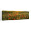 «Poppy World II», art contemporain de paysage de coquelicots abstraits-1494326514