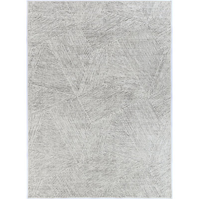 Oriental Indoor Rug