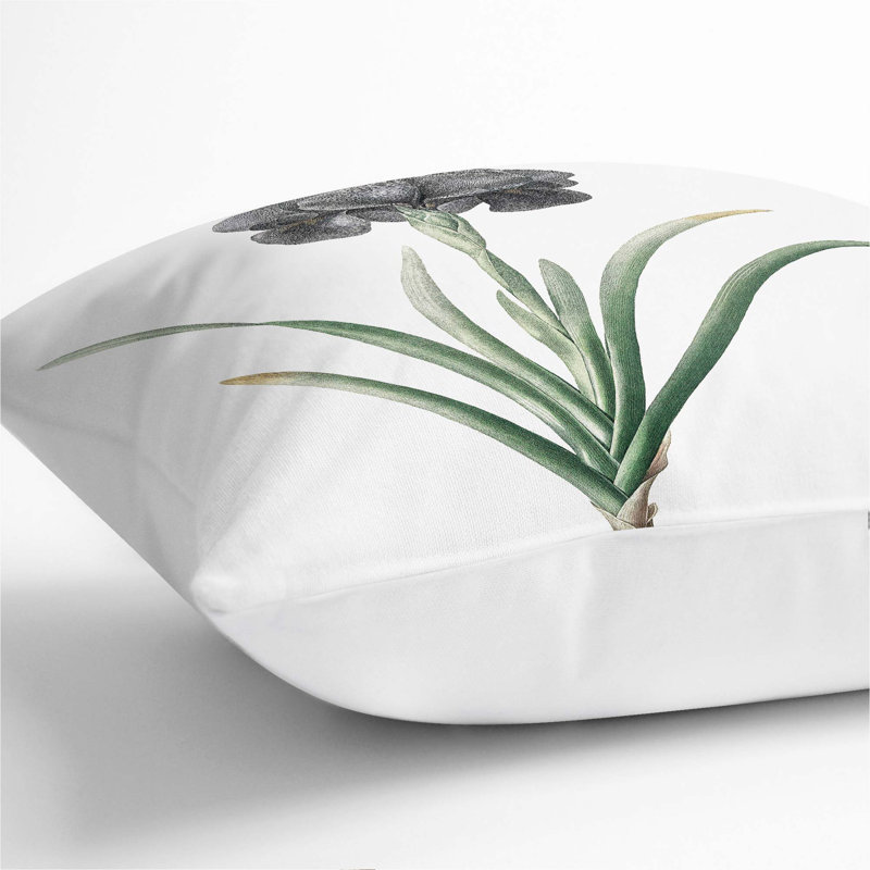 Mourning Iris Flower by Pierre-Joseph Redoute Cushion with Filling, 40cm H x 40cm W x 15cm D, White